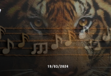 Last Roar: Wujud Kepedulian terhadap Harimau Sumatera melalui Seni