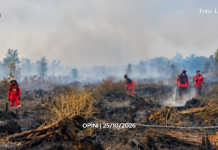 Karhutla dan Jejak Modal Asing
